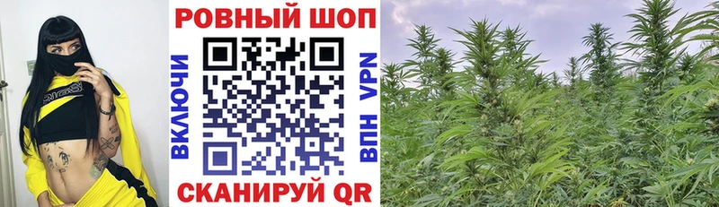 Купить Мураши Кокаин  СОЛЬ  ГЕРОИН  ГАШ  АМФЕТАМИН  Каннабис  Меф 