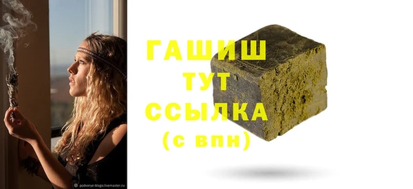 прущие грибы Михайлов