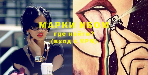 прущие грибы Михайлов