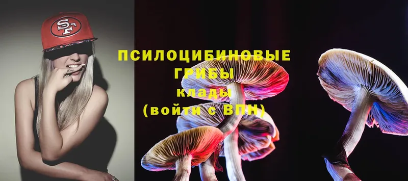 Псилоцибиновые грибы MAGIC MUSHROOMS Мураши