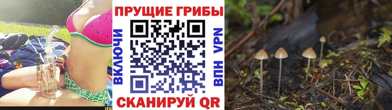 Галлюциногенные грибы мухоморы  Мураши 